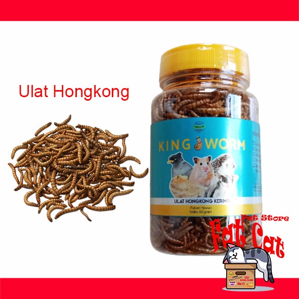 Ulat Hongkong King Worm kering 50 gr sugar glider ikan landak