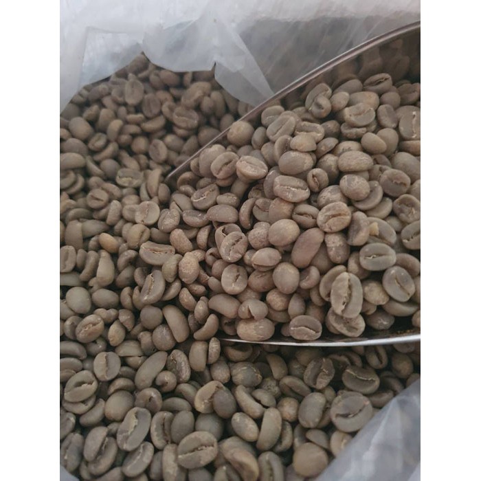 

1 Kg Biji Kopi Green Bean Arabika Kintamani Arabica Coffee