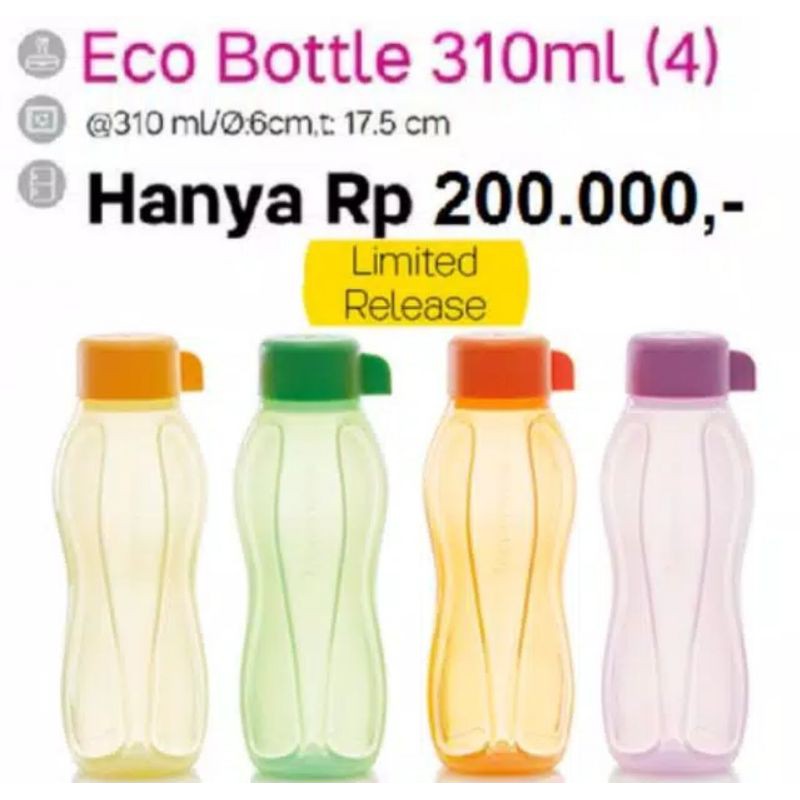 Eco Bottle 310ml (4)