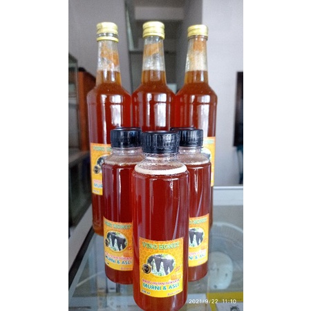 

madu hutan\dorsata