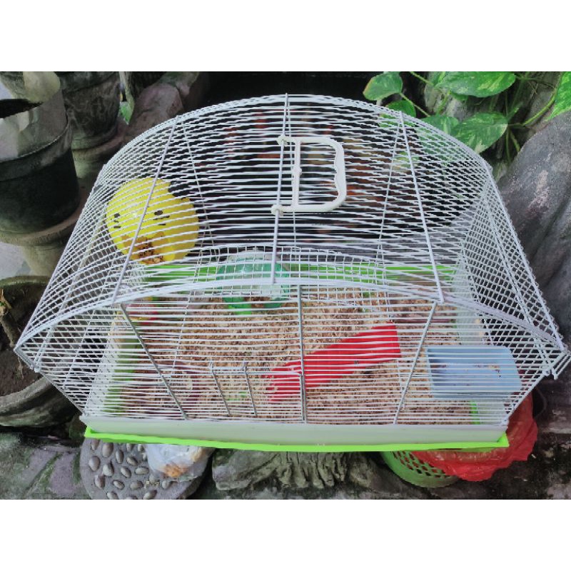 Kandang besar bisa buat Hamster,Marmut dan Kelinci