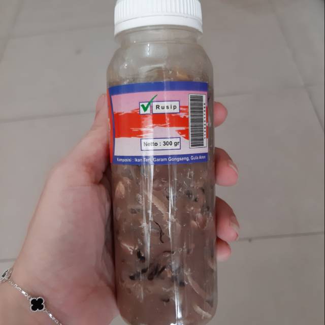 

Rusip ikan asli bangka