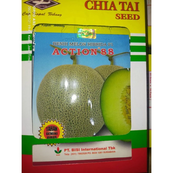 HEMAT..!! Melon Action 88 F1 Tahan Virus 550 biji Melon Hibrida Daging Putih Original Pabrik