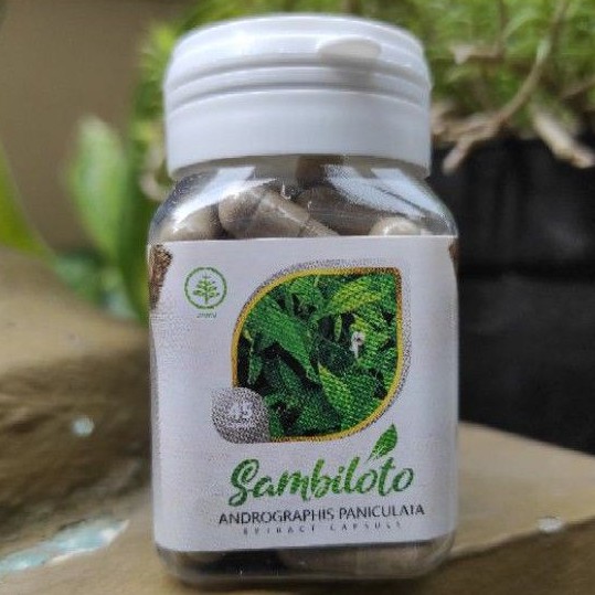 

KAPSUL EKSTRAK SAMBILOTO herbal anti virus alami ori