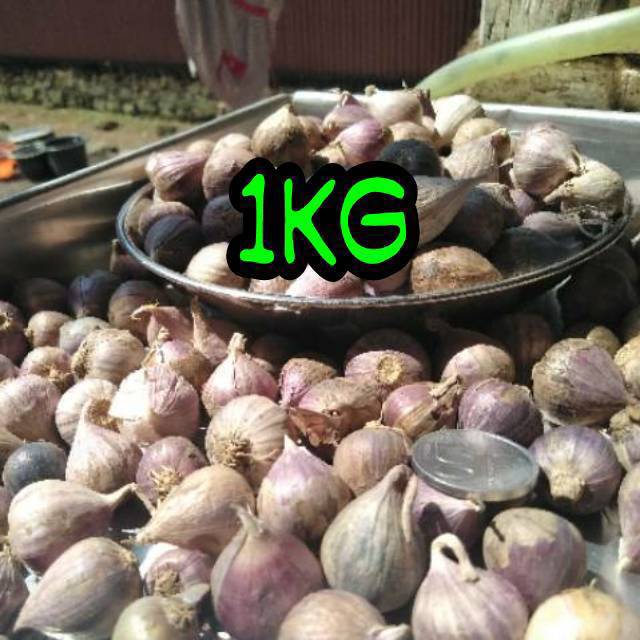 

Bawang putih tunggal/bawang lanang 1 kg