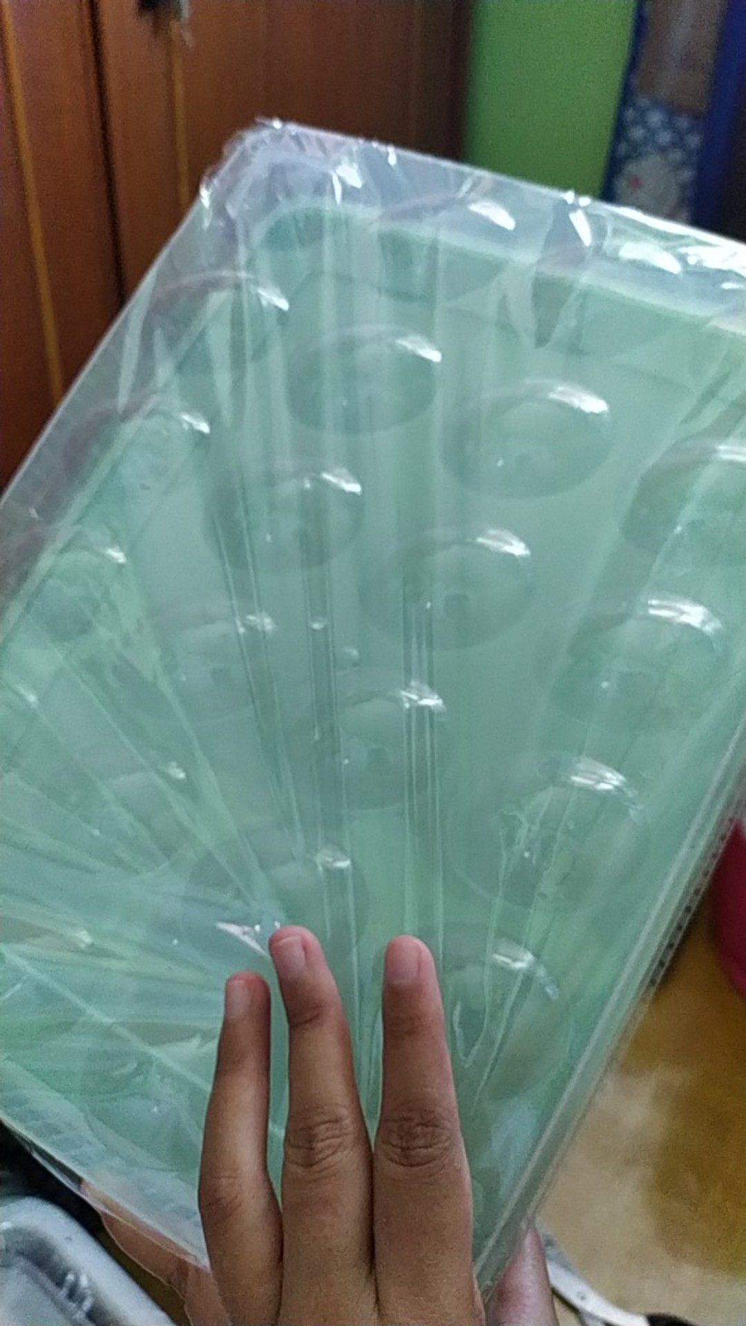 Kotak Telur / Tempat Telur / Box Telur / Rak Telor / Tempat Telor Ayam [ Isi 24 Pcs]