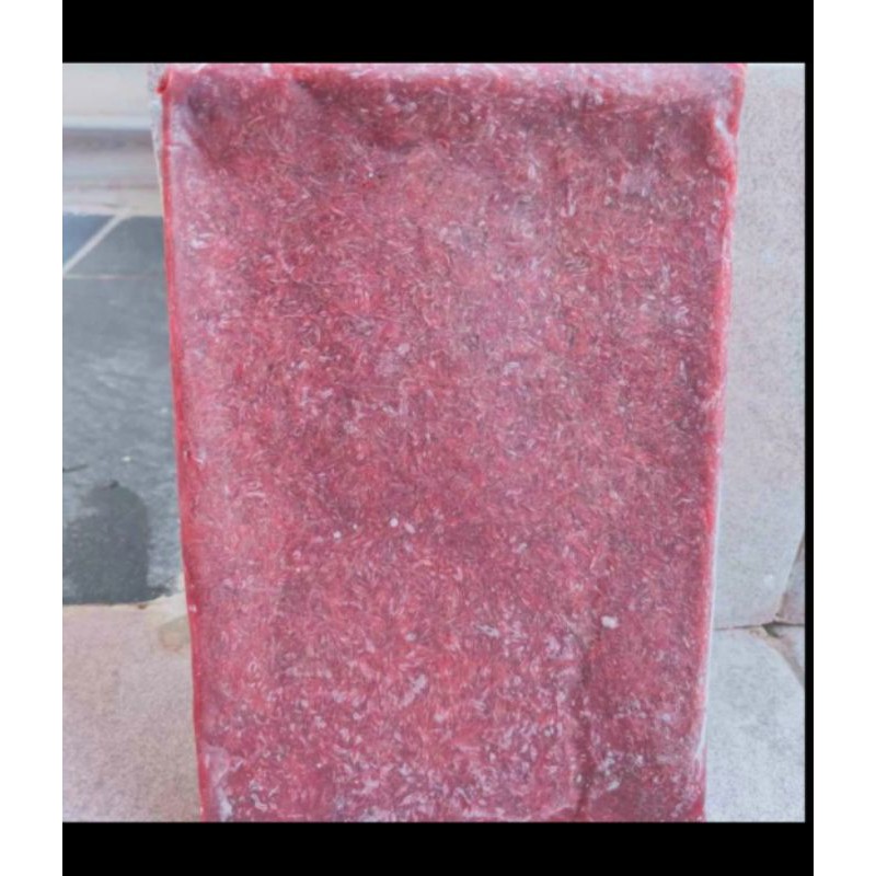 

cacing beku bloodworm 500gram