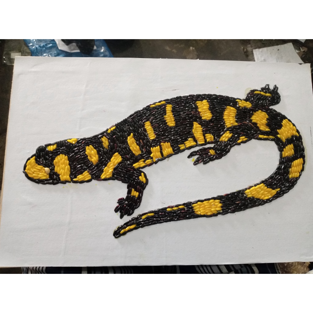 Kolase Hewan Salamander Dari Beras Warna