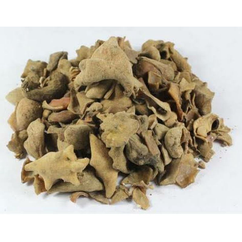 

100gr Herbal Wu Bei Zi 五倍子 Chinese Gall Chinese Nut Gall Rhus Chinensis Mill Galla Chinensis Rhois Gall
