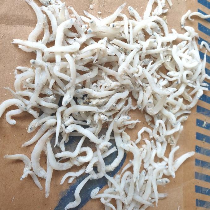 

Ikan Teri Medan Kualitas Super
