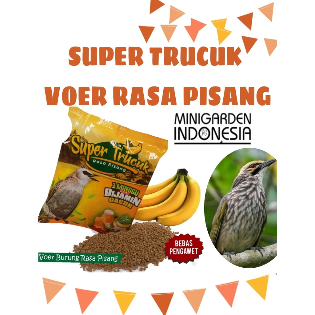 PAKAN BURUNG CUCAK IJO PLECI SUPER TRUCUK VOER RASA PISANG