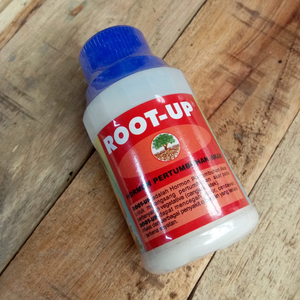 ROOT UP 100gr Hormon Pertumbuhan Akar untuk Membantu Mempercepat Proses Penyemaian Benih Grafting St
