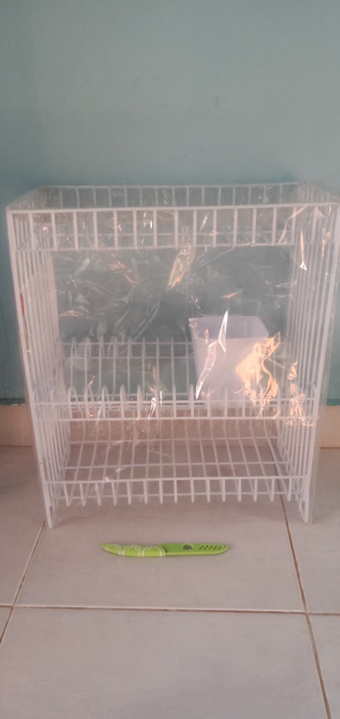 Pisau Apel Kecil Stainless Steel