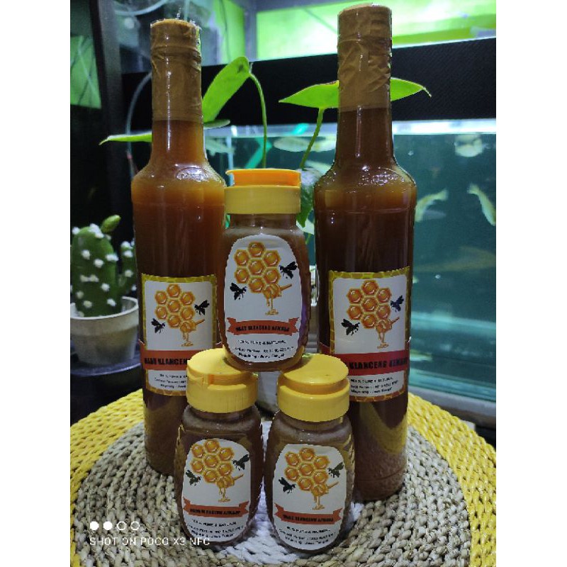 

MADU KLANCENG KEMBAR botol besar 460ml