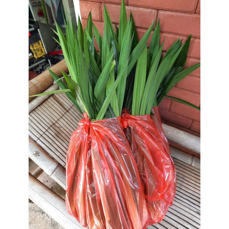 

fresh pandan