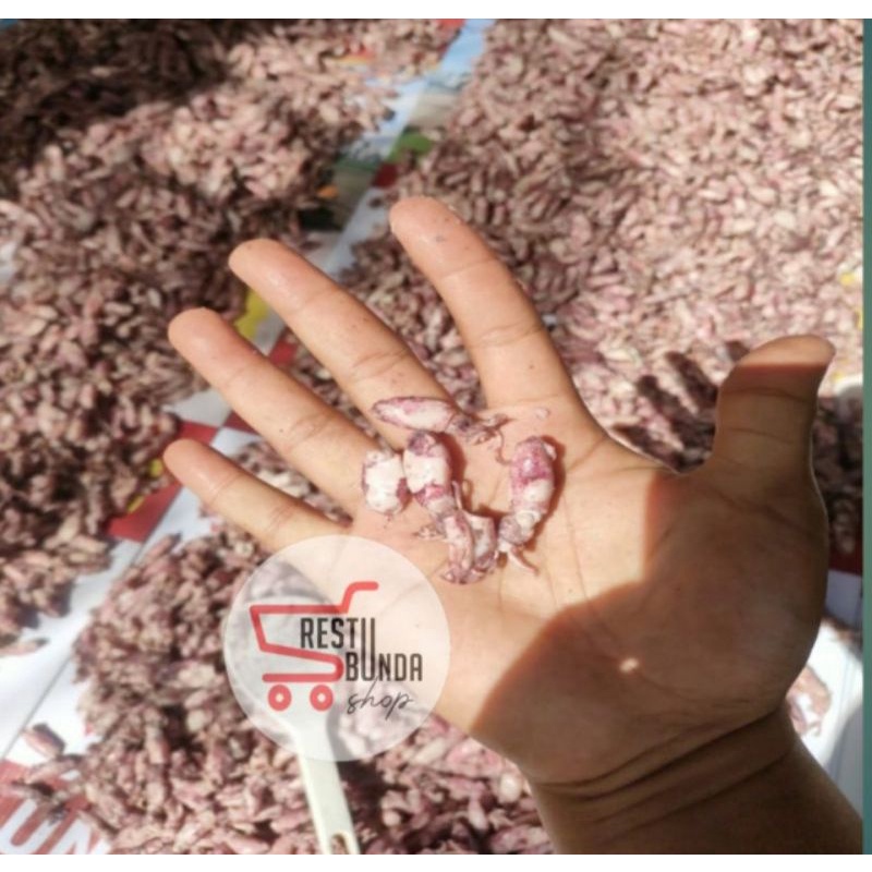 

Baby Cumi Premium 1kg/500gr , Size 0.5-2cm