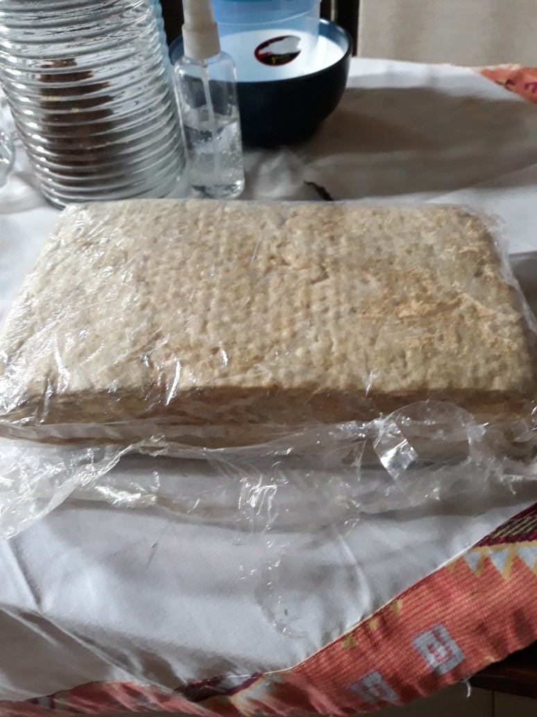 Rockwoll Hidroponik Uk 25x15x5cm