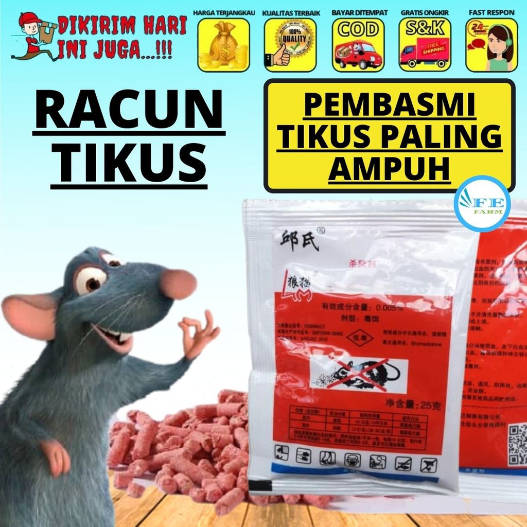 Obat Tikus Got Racun Paling Ampuh Basmi Curut Mati Kering Tanpa Bau FEFARM