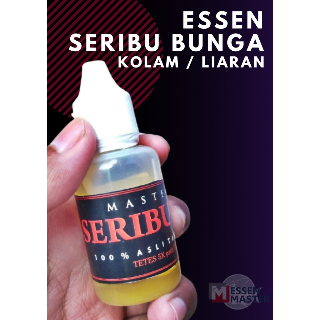 Essen Biang Seribu Bunga Ikan Mas Galatama - Master Essen