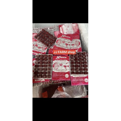 cacing beku kapsul bloodworm kualitas super fresh merah