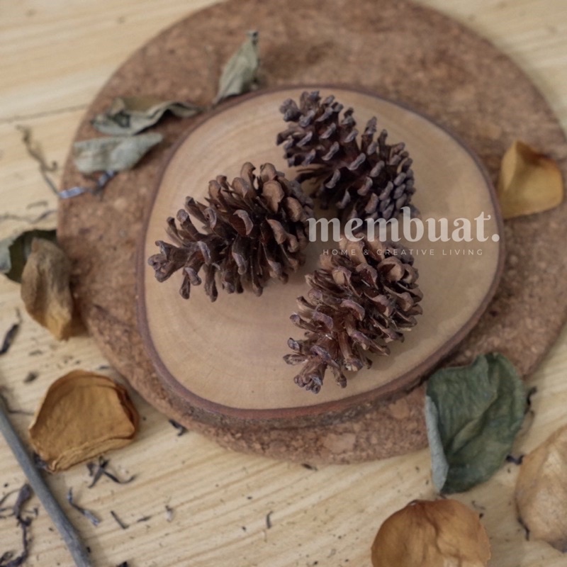 (10pcs) Bunga Pinus Kering  - dekorasi rustic / hiasan hantaran / mahar