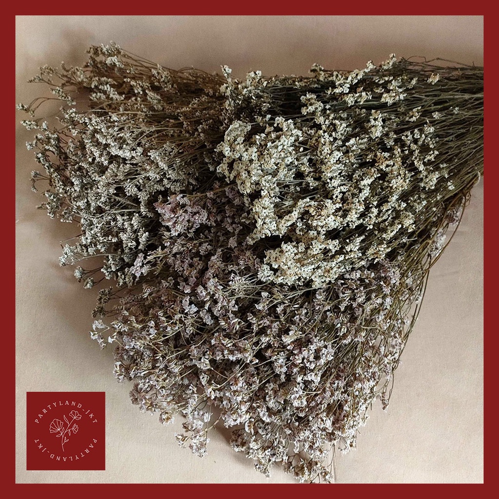 Dried Flower Limonium Bunga Kering Asli Dekorasi Hias Pajangan Buket