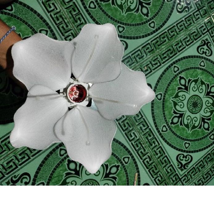 Grosir❄️ kelopak lampu bunga, kelopak bunga, kap bunga dekorasi/ruangan murah cantik minimalis dan t