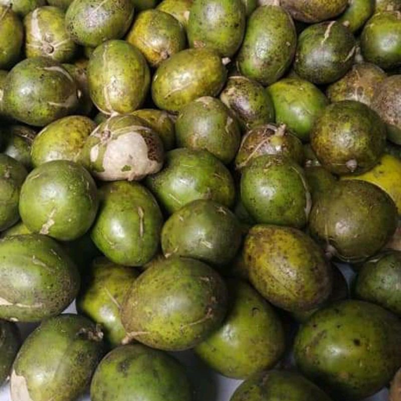 

kedongdong segar 1kg