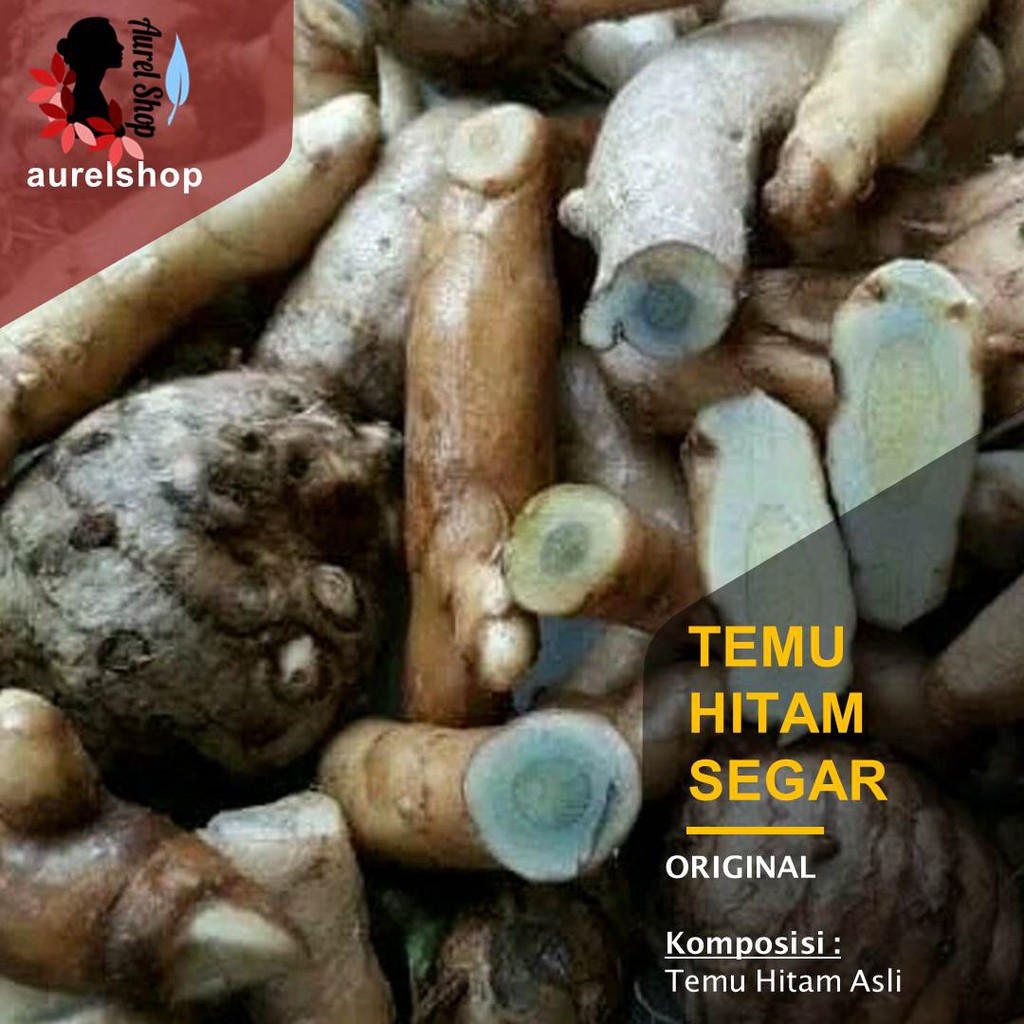 

Temu Hitam Segar Temu Ireng kemasan 1 kg