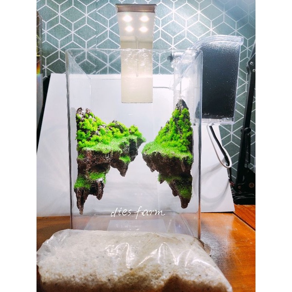 Aquarium Aquascape Mini Full Set Soliter Acrylic Lampu dan Filter