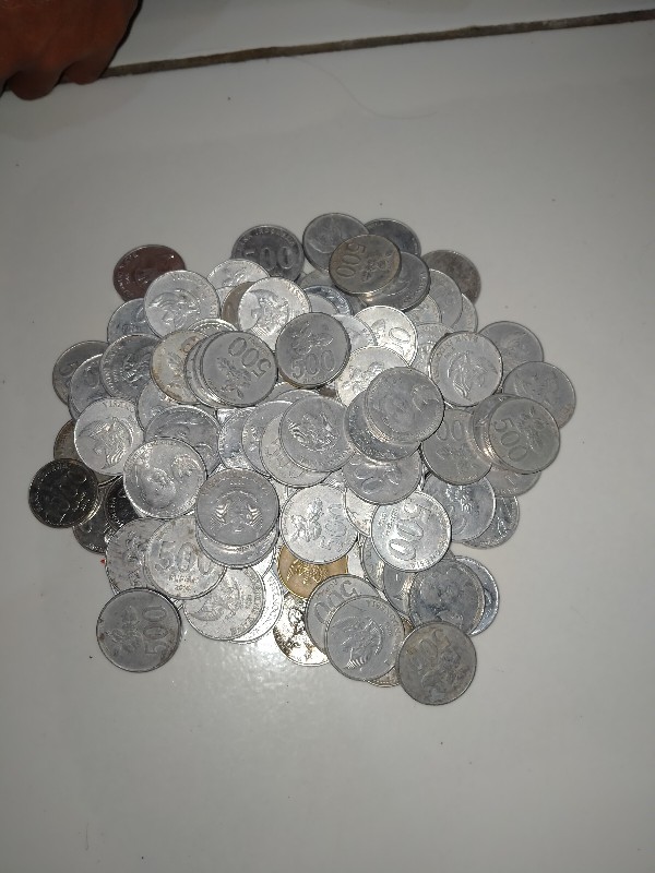 Benih Cabe Keriting Montana F1