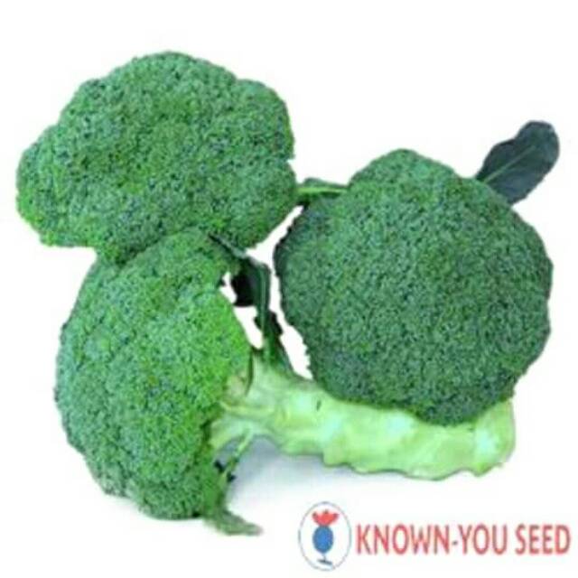 Benih brokoli