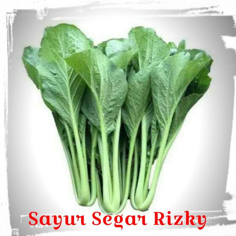 

[TURUN HARGA] Sawi Hijau Segar