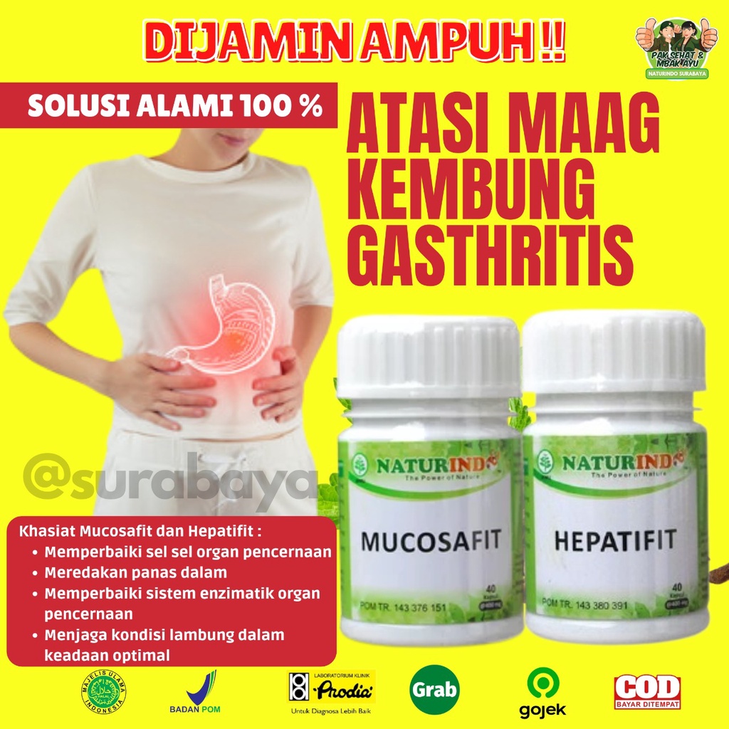 Obat Sakit Asam Lambung Maag Begah Sendawa Obat Herbal Sakit Maag Obat Asam Lambung Maag Kronis Obat Lambung Ampuh BPOM MUI Herbal MUCOSAFIT Naturindo Surabaya Obat asam lambung GERD naik maag gerd kronis tungkak lambung sakit perut mual muntah Herbal-KEMBUNG GASTRITIS