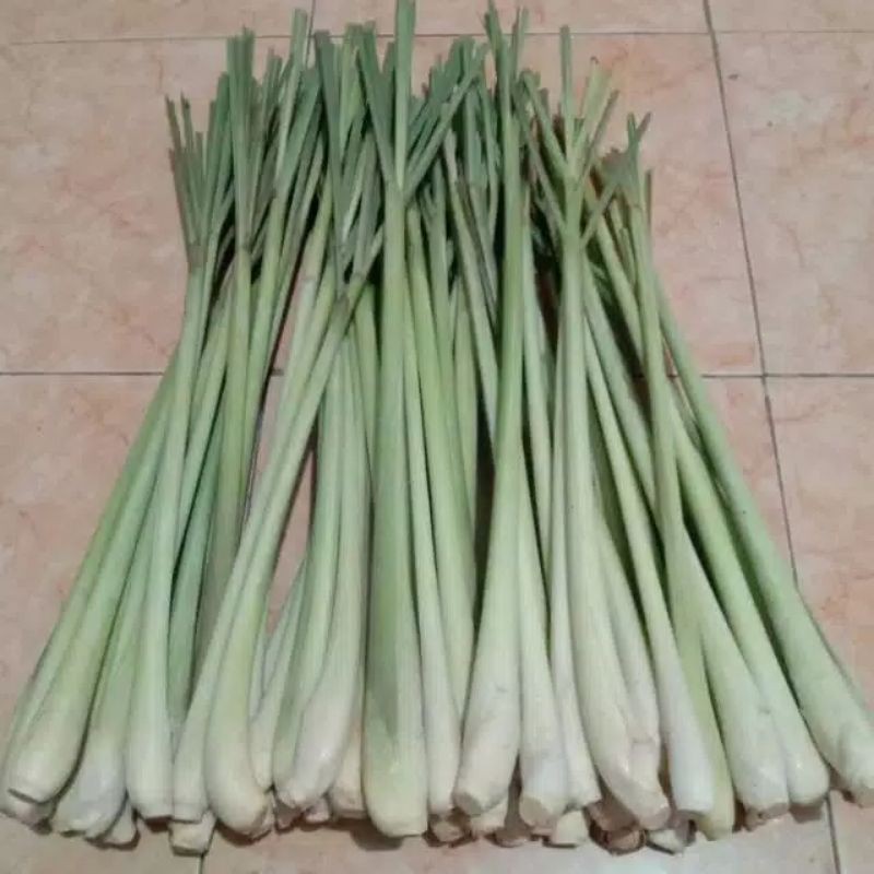 

sereh super jumbo 500grm