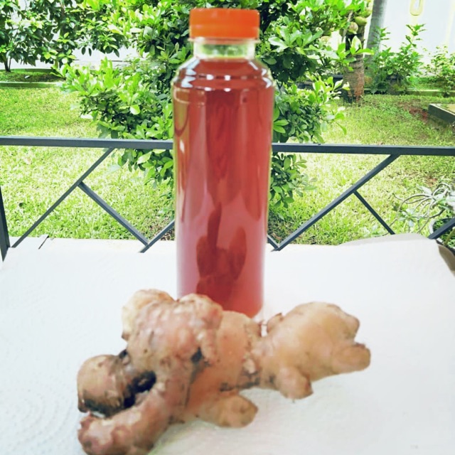 

JAMU JAHE REMPAH