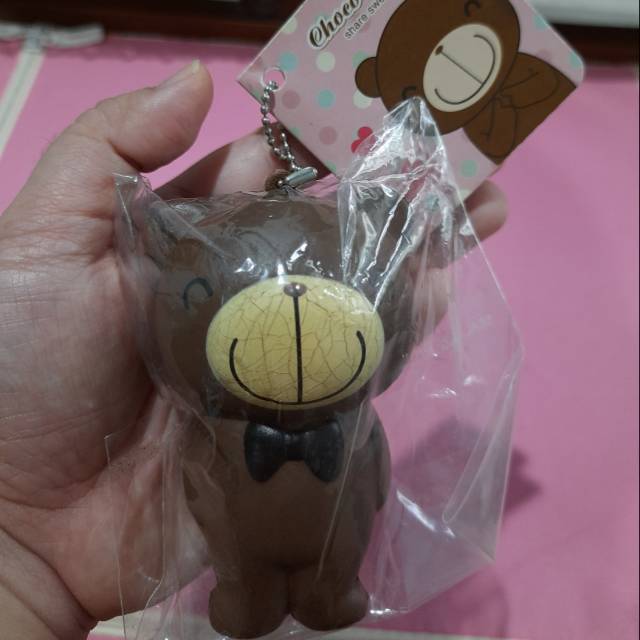 Choco Teddy Squishy