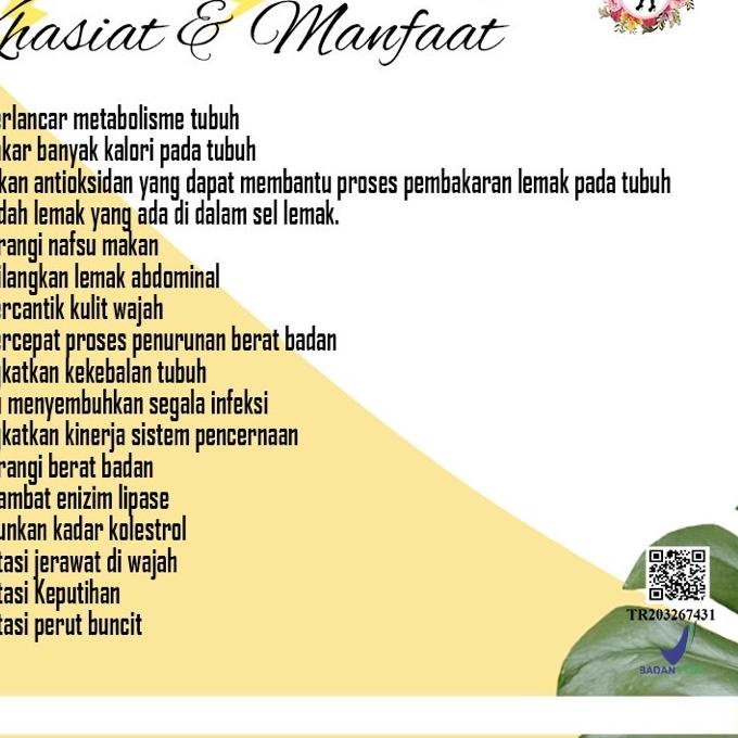 

TOP PRODUK TEH PUTRI PAI TEH PELANSING HERBAL VH5*