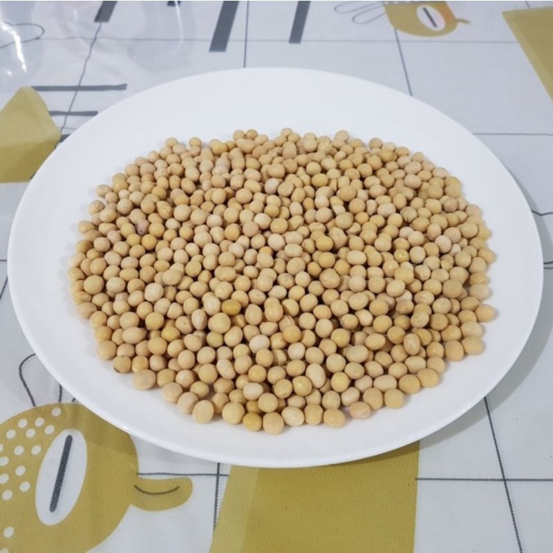 

Soy Bean/Kacang Kedelai/Huang Dou 黄豆 500gr
