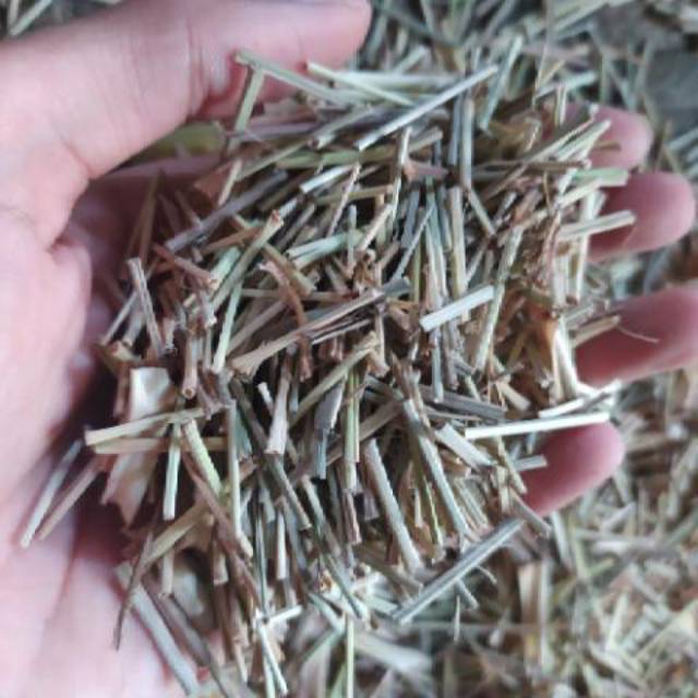 

Daun serai kering per 500 gr