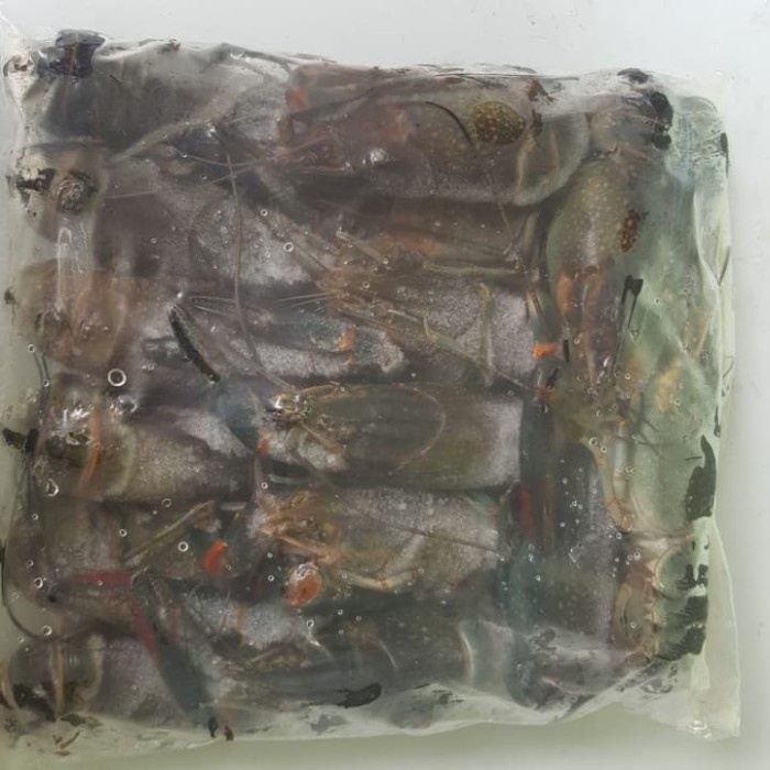 

Lobster air tawar frozen, medium small per 1kg