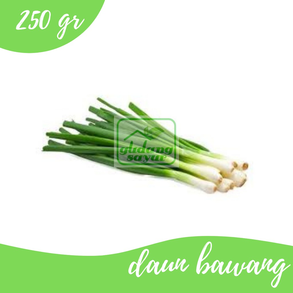 

Daun Bawang 500g Gudang Sayur Purwokerto