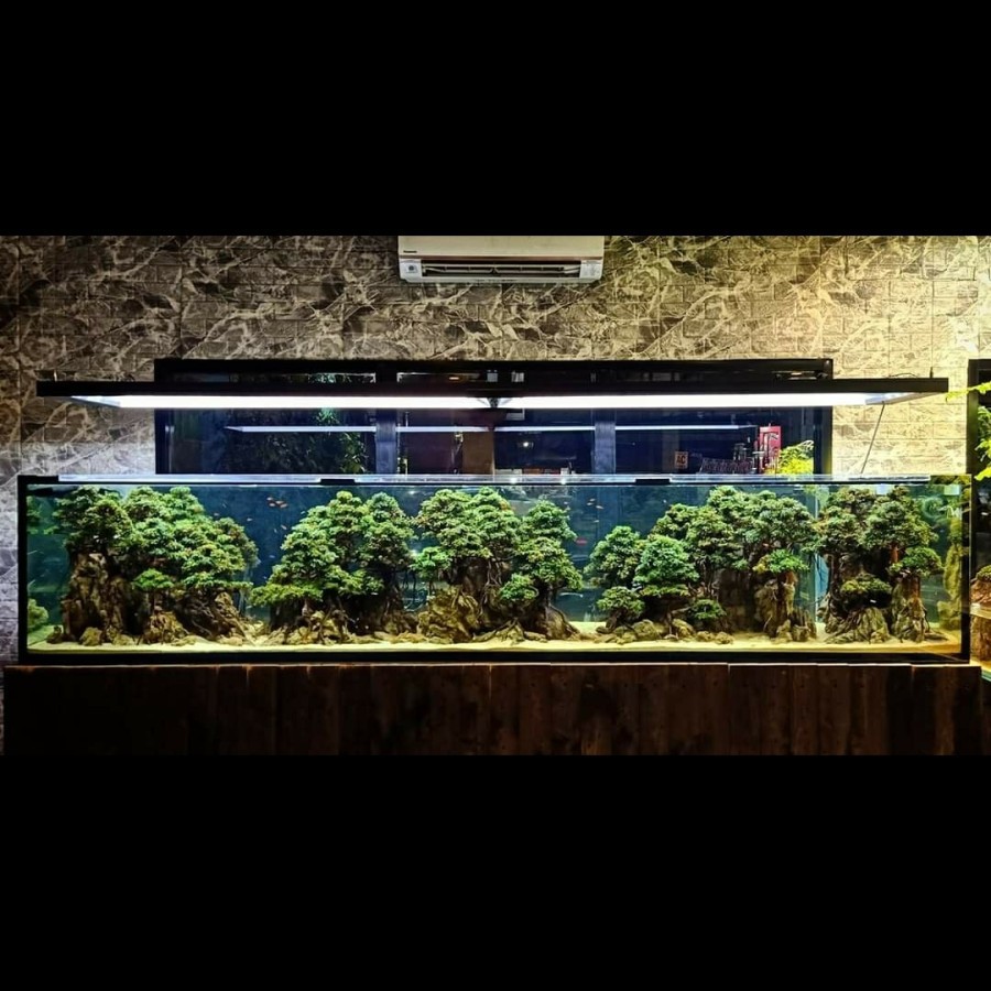 Nickz Aquascape Bonsai Natural Style Size 300cm Up Fullset Mega Tank
