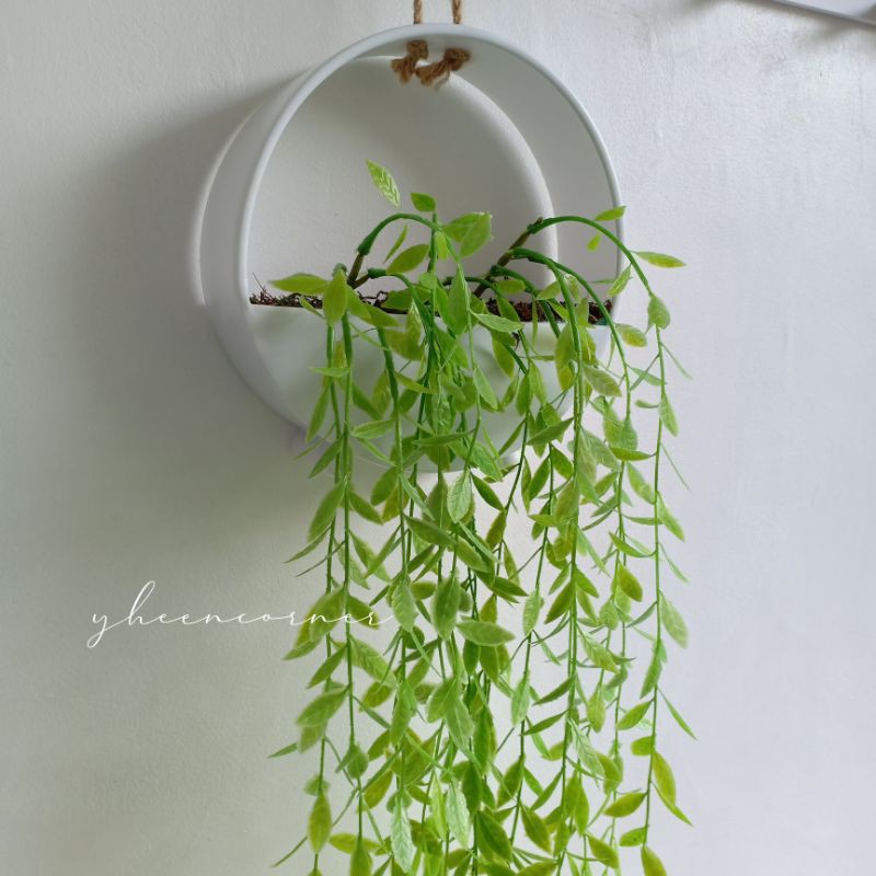 Artificial Hanging Plants (Hoya Costa)