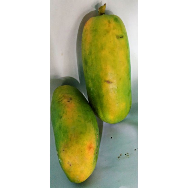 

pepaya calina/california manis