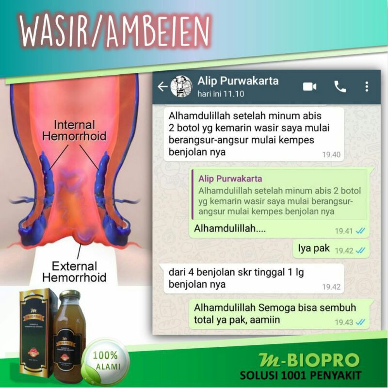 M BIOPRO HERBAL |M-BIOPRO M BIO PRO MBIOPRO  ORIGINAL 100% Atasi Wasir Ambeien