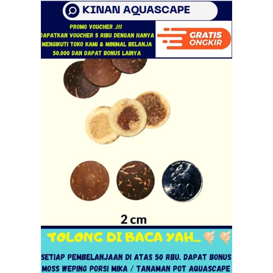 TATAKAN BONSAI AQUASCAPE BONSAI AQUASCAPE