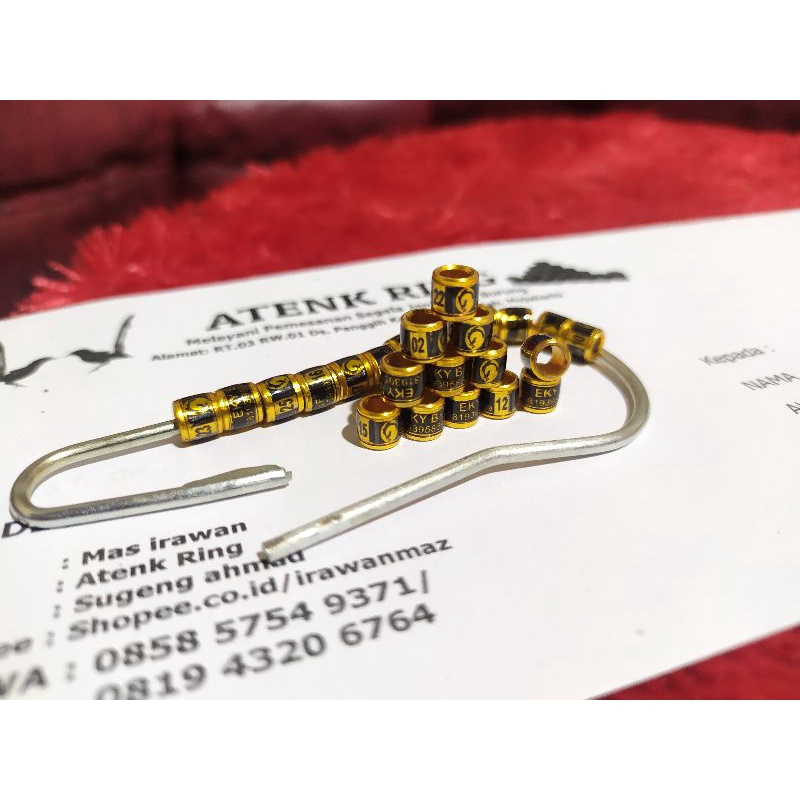 ring*murai*roda*transpran*logo