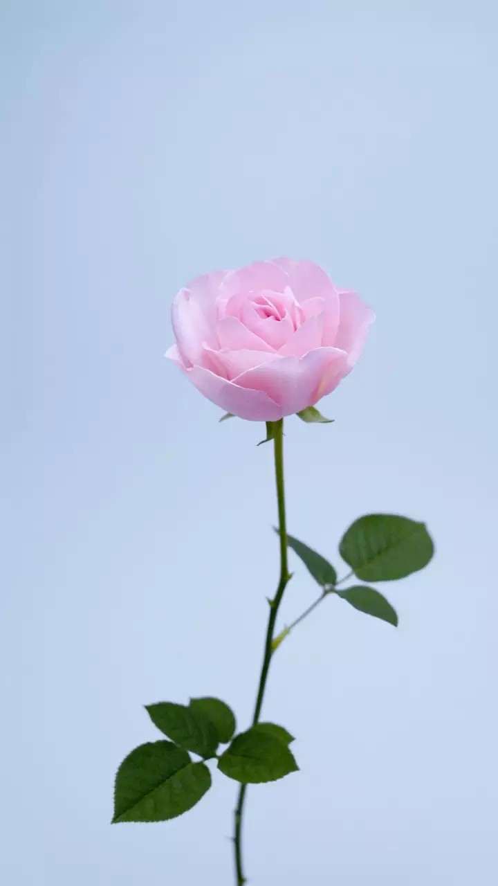 Kemeja Batik Lengan Panjang Motif Parang Kunci