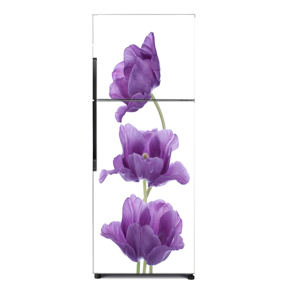 STIKER KULKAS TULIP